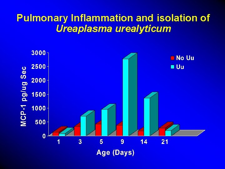 Pulmonary Inflammation and isolation of Ureaplasma urealyticum 