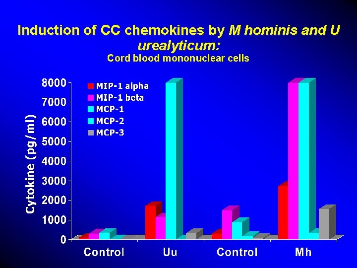 Induction of CC chemokines by M hominis and U urealyticum: Cord blood mononuclear cells