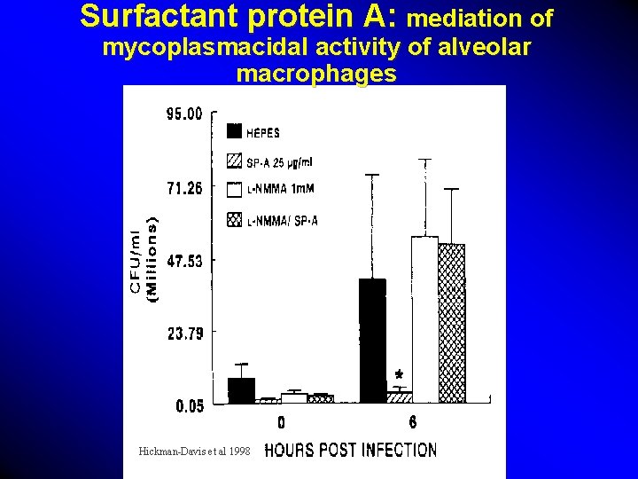 Surfactant protein A: mediation of mycoplasmacidal activity of alveolar macrophages Hickman-Davis et al 1998