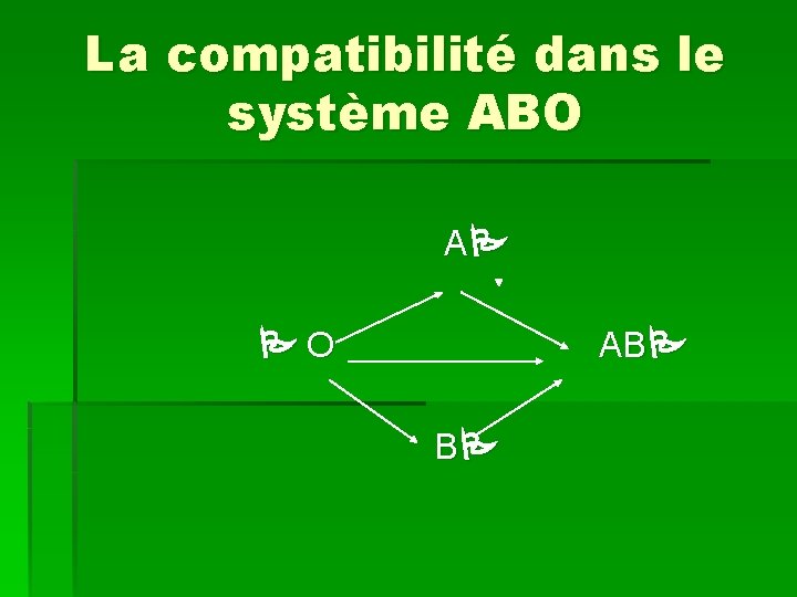 La compatibilité dans le système ABO A O AB B 