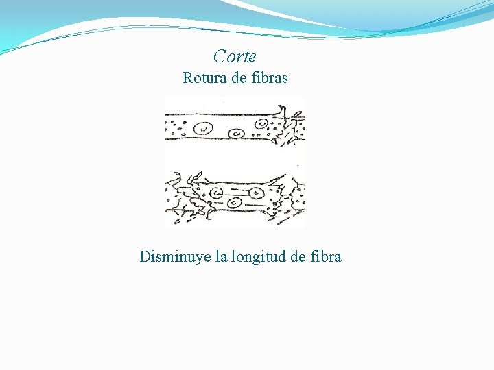 Corte Rotura de fibras Disminuye la longitud de fibra 