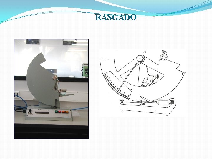 RASGADO 
