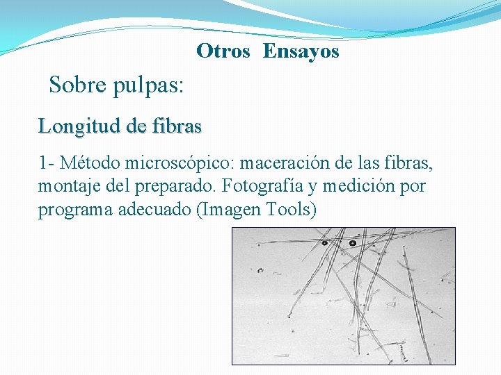 Otros Ensayos Sobre pulpas: Longitud de fibras 1 - Método microscópico: maceración de las