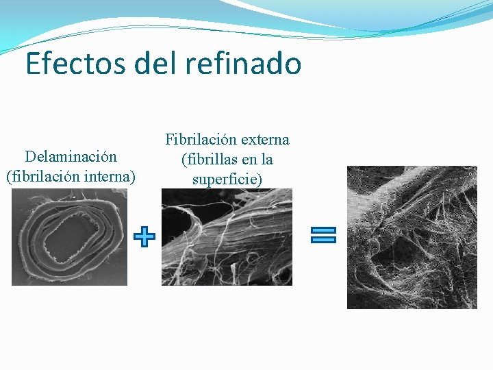 Efectos del refinado Delaminación (fibrilación interna) Fibrilación externa (fibrillas en la superficie) 