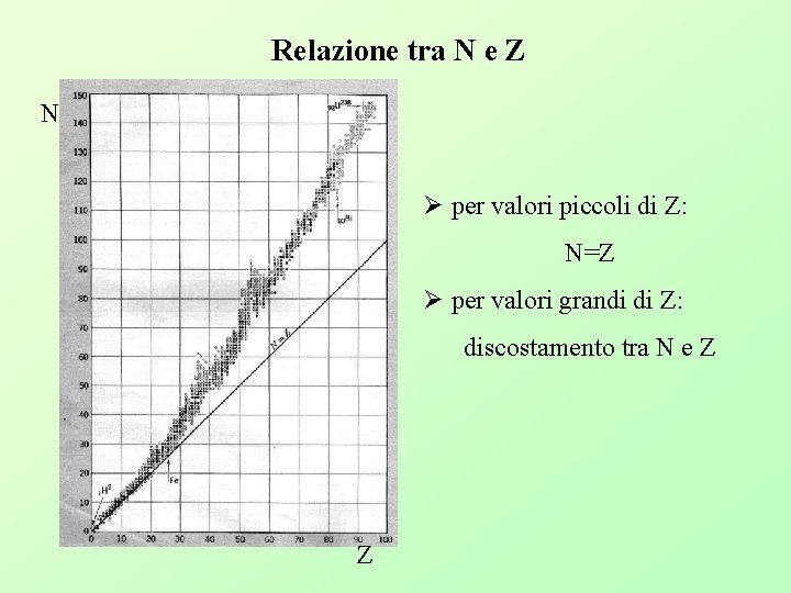 Relazione tra N e Z N Ø per valori piccoli di Z: N=Z Ø