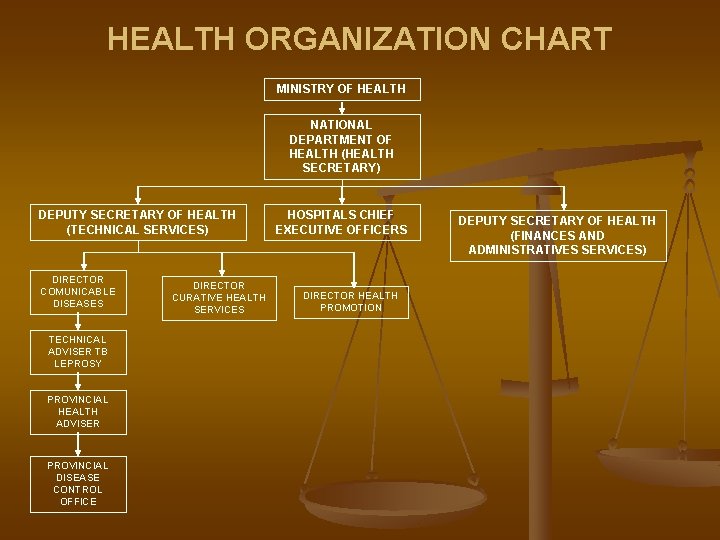 HEALTH ORGANIZATION CHART MINISTRY OF HEALTH NATIONAL DEPARTMENT OF HEALTH (HEALTH SECRETARY) DEPUTY SECRETARY