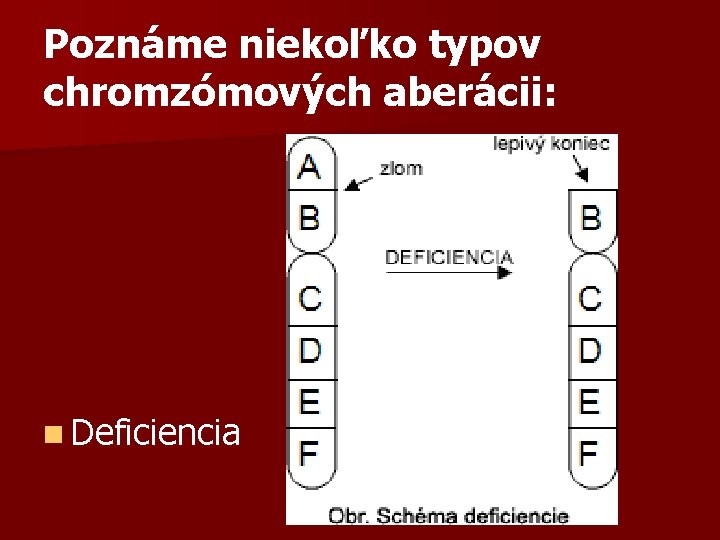 Poznáme niekoľko typov chromzómových aberácii: n Deficiencia 