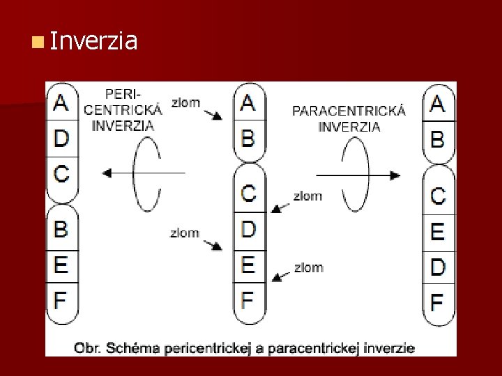 n Inverzia 