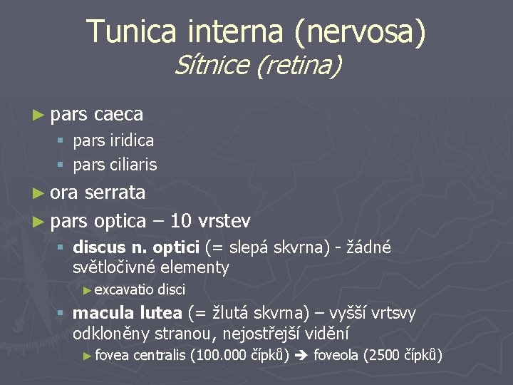 Tunica interna (nervosa) Sítnice (retina) ► pars caeca § pars iridica § pars ciliaris