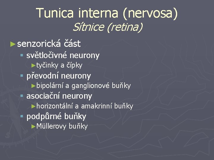 Tunica interna (nervosa) Sítnice (retina) ► senzorická část § světločivné neurony ►tyčinky a čípky