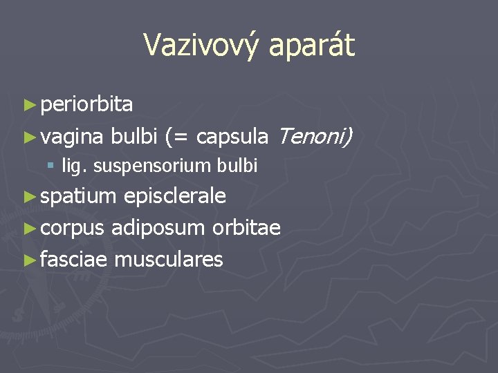 Vazivový aparát ► periorbita ► vagina bulbi (= capsula Tenoni) § lig. suspensorium bulbi
