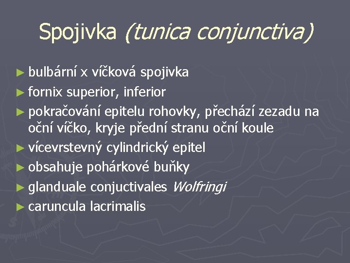 Spojivka (tunica conjunctiva) ► bulbární x víčková spojivka ► fornix superior, inferior ► pokračování