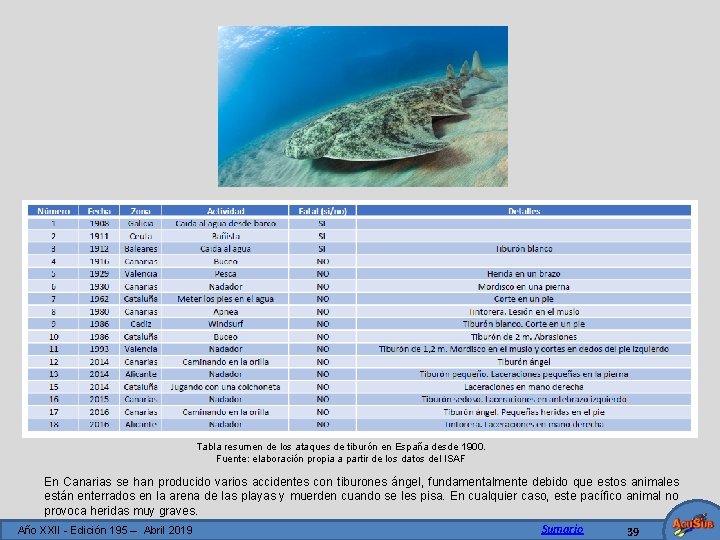 Tabla resumen de los ataques de tiburón en España desde 1900. Fuente: elaboración propia