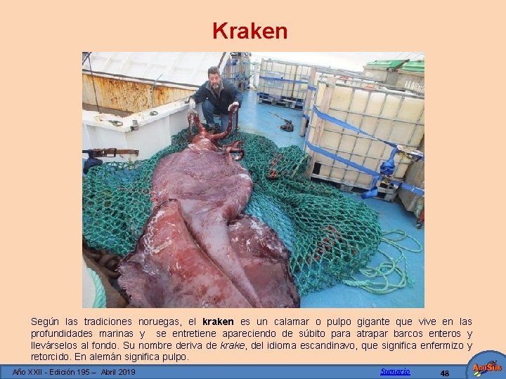 Kraken Según las tradiciones noruegas, el kraken es un calamar o pulpo gigante que