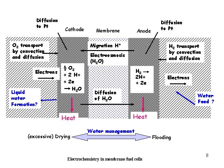 Diffusion to Pt Cathode O 2 transport by convection and diffusion Electrons Liquid water
