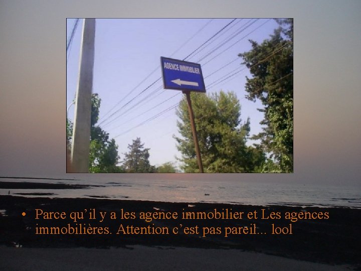  • Parce qu’il y a les agence immobilier et Les agences immobilières. Attention