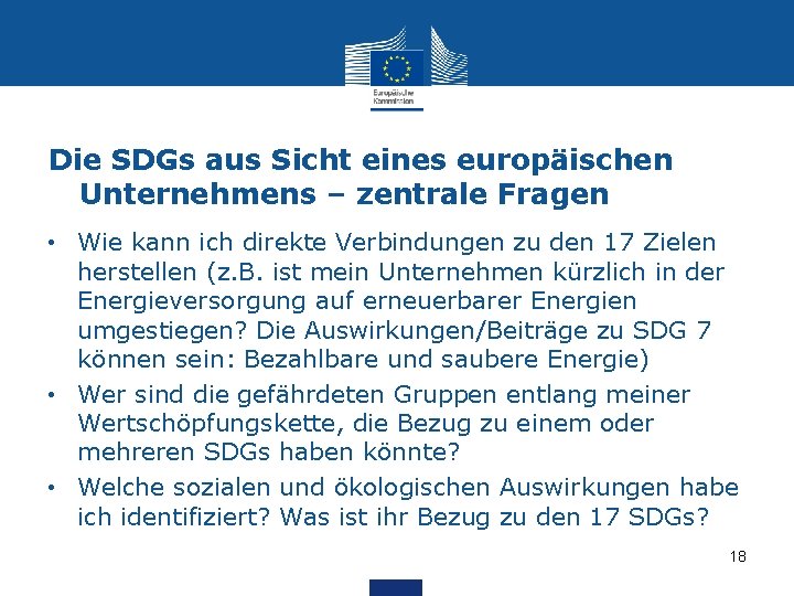 Die SDGs aus Sicht eines europäischen Unternehmens – zentrale Fragen • Wie kann ich