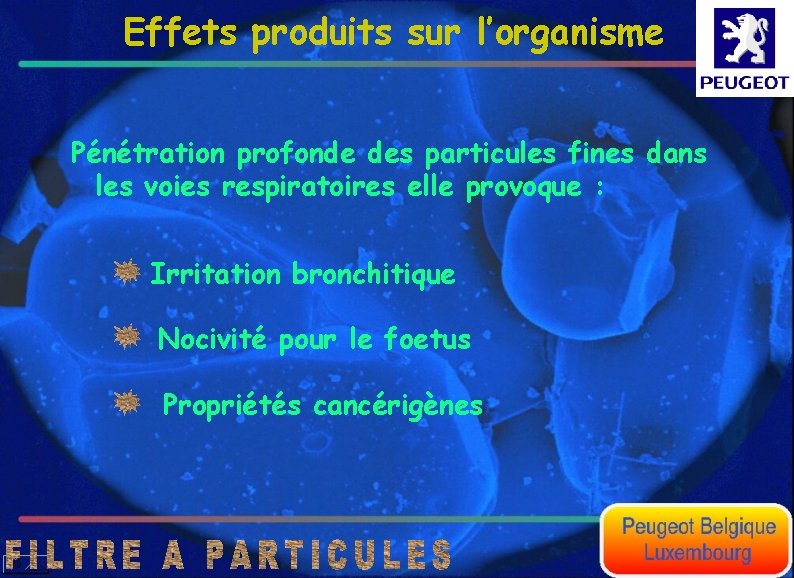 Effets produits sur l’organisme Pénétration profonde des particules fines dans les voies respiratoires elle