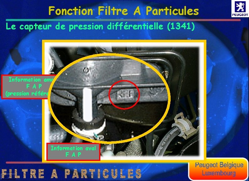 Fonction Filtre A Particules Le capteur de pression différentielle (1341) Information amont F A