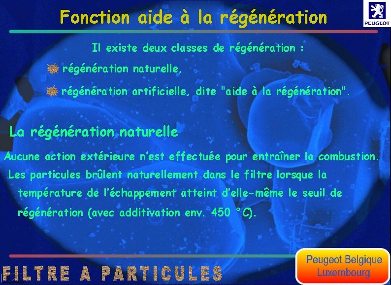 Fonction aide à la régénération Il existe deux classes de régénération : régénération naturelle,