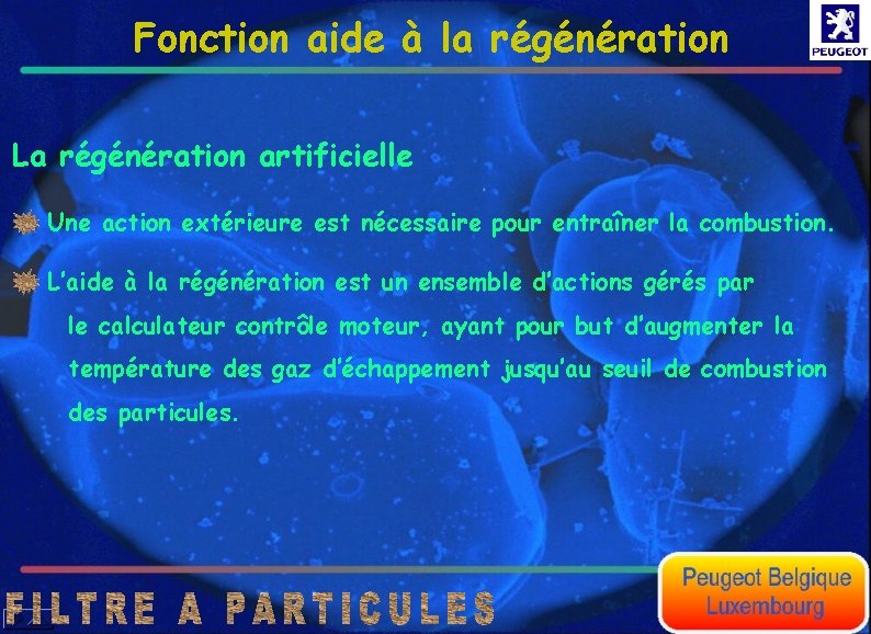 Fonction aide à la régénération La régénération artificielle Une action extérieure est nécessaire pour