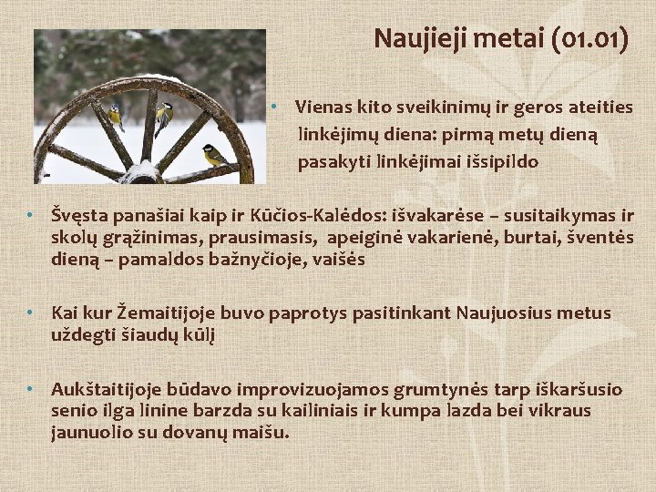 Naujieji metai (01. 01) • Vienas kito sveikinimų ir geros ateities linkėjimų diena: pirmą