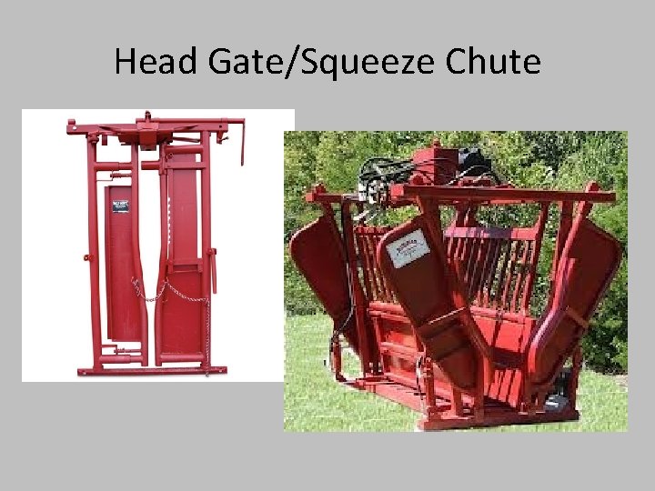 Head Gate/Squeeze Chute 