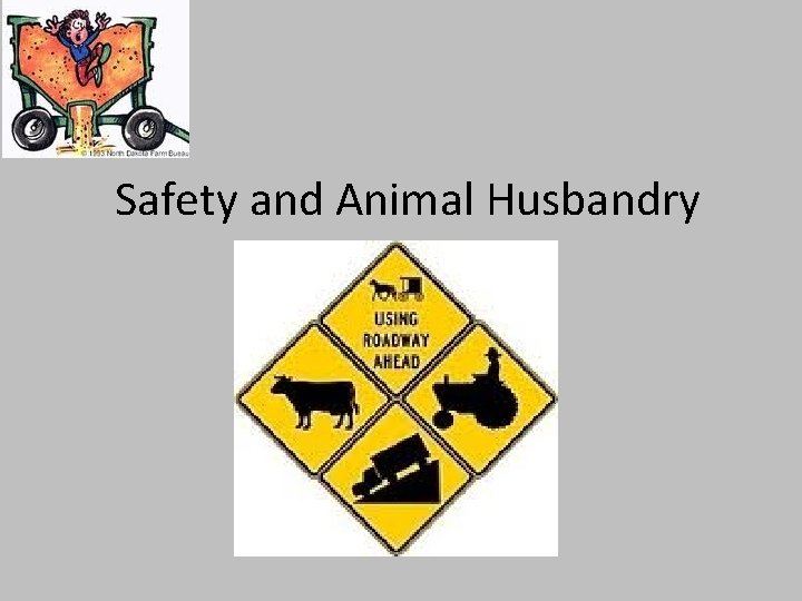 Safety and Animal Husbandry 