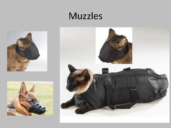 Muzzles 