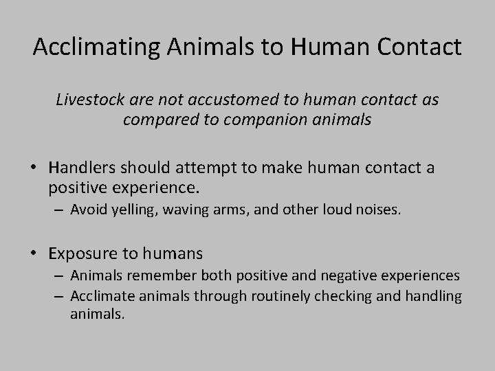 Acclimating Animals to Human Contact Livestock are not accustomed to human contact as compared