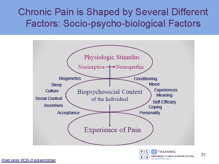 Chronic Pain is Shaped by Several Different Factors: Socio-psycho-biological Factors 31 From prior PCSS-O