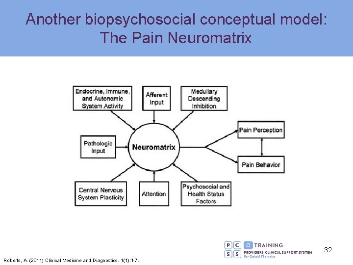 Another biopsychosocial conceptual model: The Pain Neuromatrix 32 Roberts, A. (2011) Clinical Medicine and