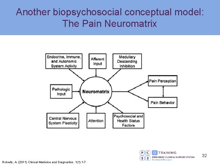 Another biopsychosocial conceptual model: The Pain Neuromatrix 32 Roberts, A. (2011) Clinical Medicine and