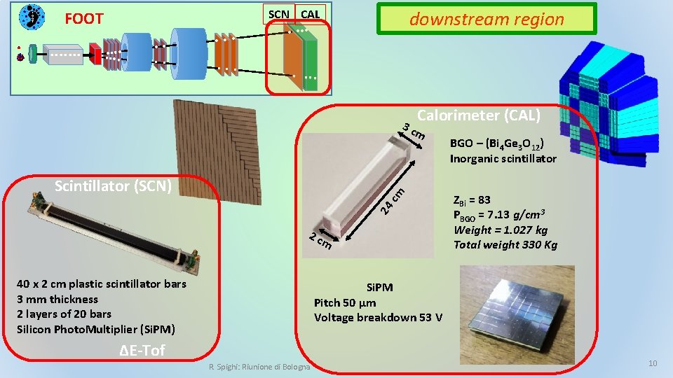 SCN CAL FOOT. . . . …. . … . . downstream region .