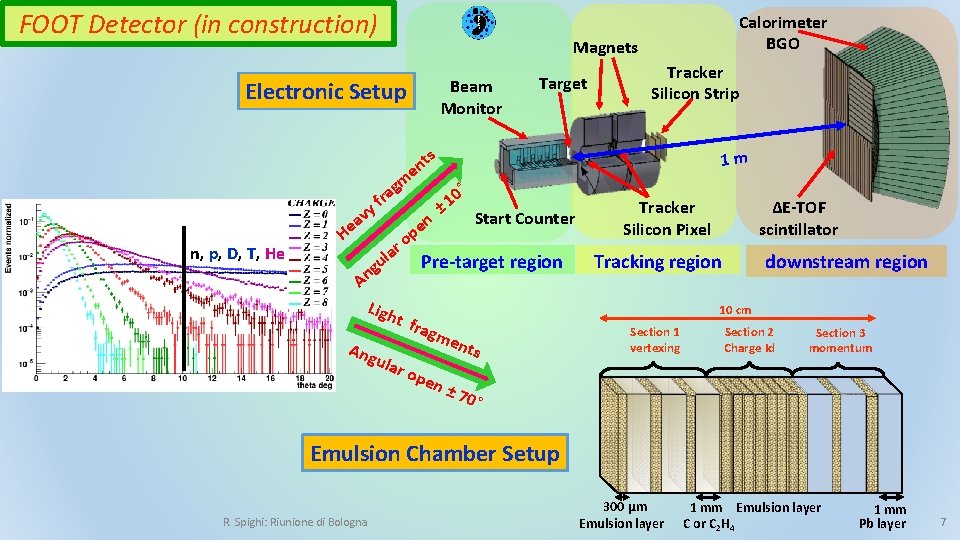 FOOT Detector (in construction) Electronic Setup n, p, D, T, He Calorimeter BGO Magnets