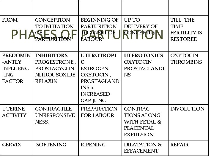 QUIESCENCE ACTIVATION CONCEPTION TO INITIATION OF PARTURITION BEGINNING OF UP TO PARTURITION DELIVERY OF