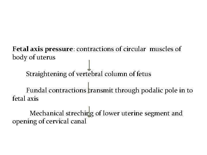 Fetal axis pressure: contractions of circular muscles of body of uterus Straightening of vertebral