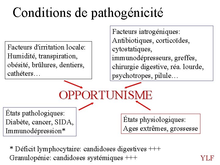 Conditions de pathogénicité Facteurs d'irritation locale: Humidité, transpiration, obésité, brûlures, dentiers, cathéters… Facteurs iatrogéniques: