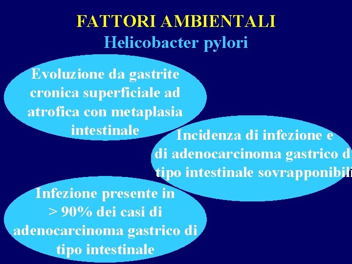FATTORI AMBIENTALI Helicobacter pylori Evoluzione da gastrite cronica superficiale ad atrofica con metaplasia intestinale