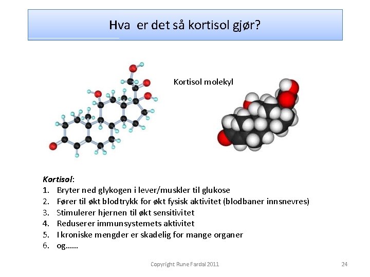 Hva er det så kortisol gjør? Kortisol molekyl Kortisol: 1. Bryter ned glykogen i