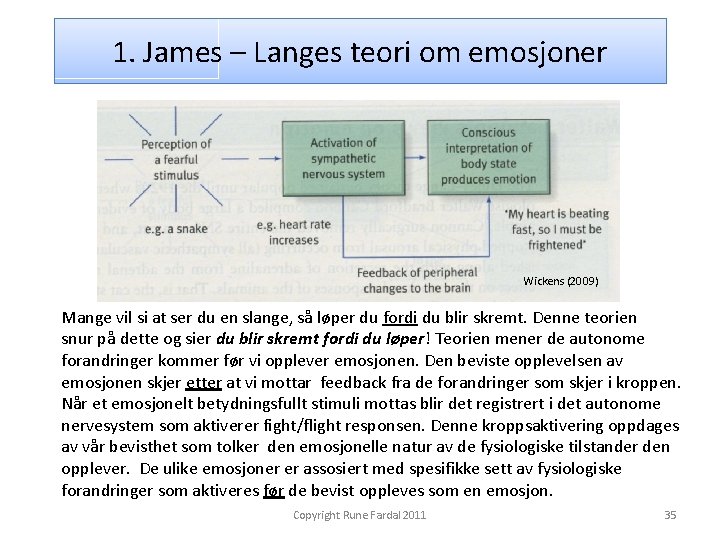 1. James – Langes teori om emosjoner Wickens (2009) Mange vil si at ser