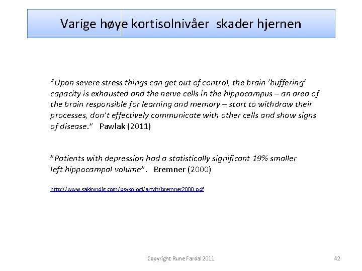 Varige høye kortisolnivåer skader hjernen ”Upon severe stress things can get out of control,