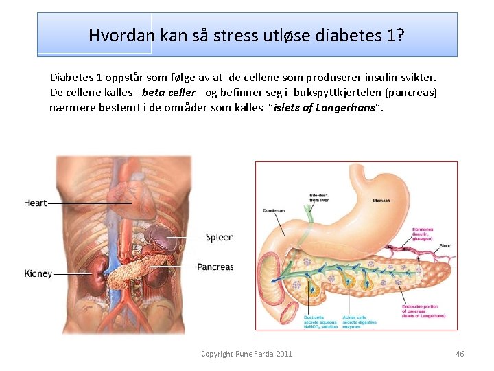 Hvordan kan så stress utløse diabetes 1? Diabetes 1 oppstår som følge av at