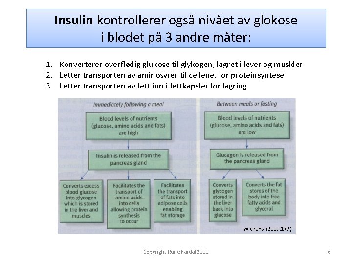 Insulin kontrollerer også nivået av glokose i blodet på 3 andre måter: 1. Konverterer