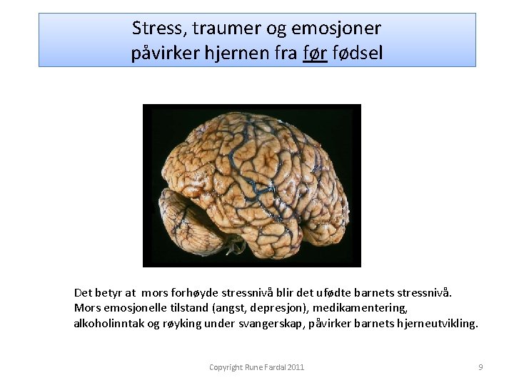 Stress, traumer og emosjoner påvirker hjernen fra før fødsel Det betyr at mors forhøyde