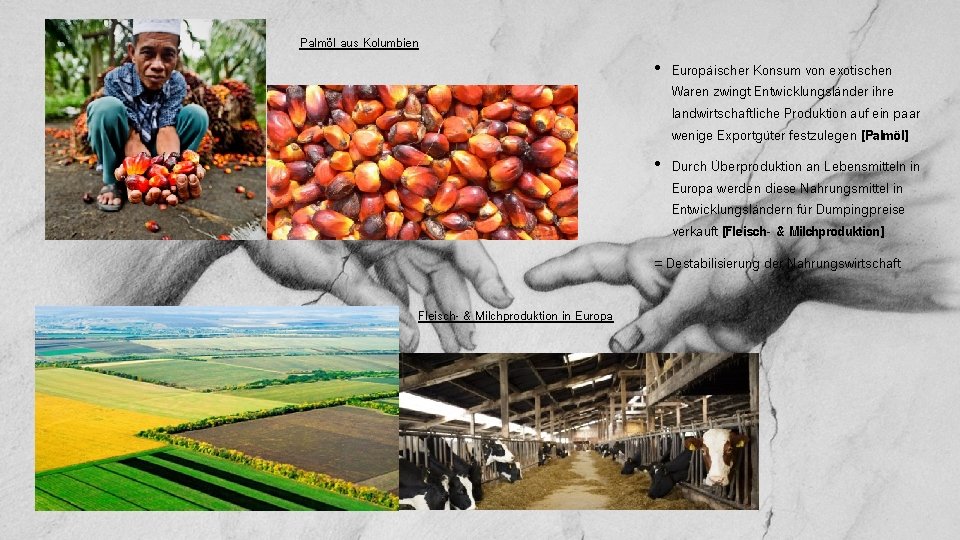 Palmöl aus Kolumbien • Europäischer Konsum von exotischen Waren zwingt Entwicklungsländer ihre landwirtschaftliche Produktion