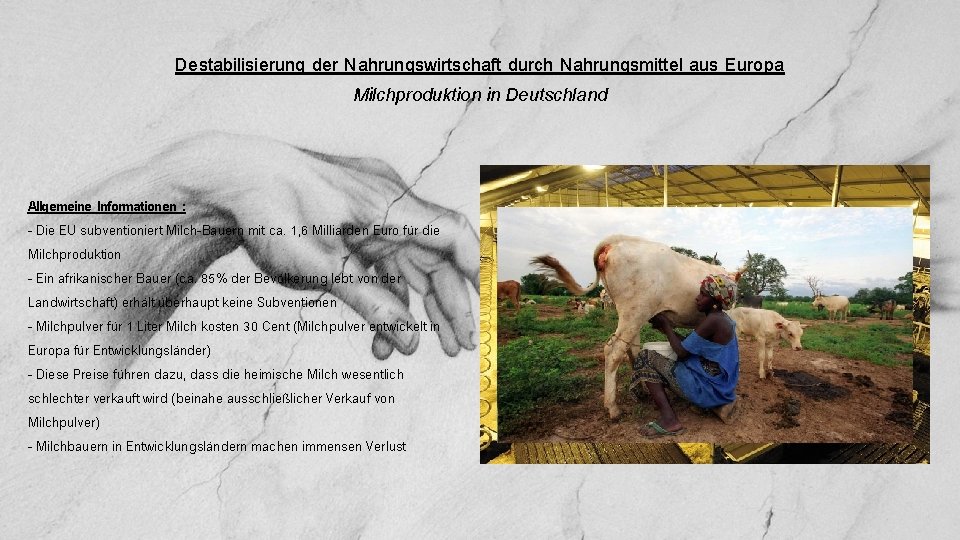Destabilisierung der Nahrungswirtschaft durch Nahrungsmittel aus Europa Milchproduktion in Deutschland Allgemeine Informationen : -
