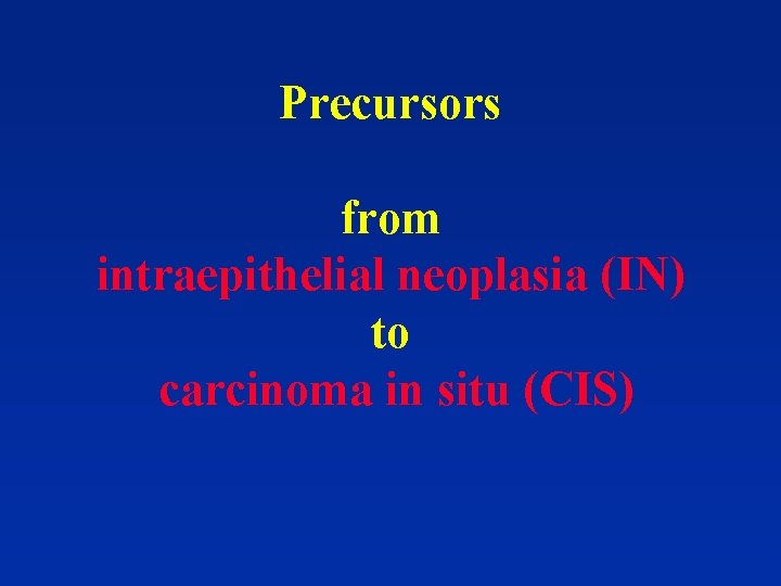 Precursors from intraepithelial neoplasia (IN) to carcinoma in situ (CIS) 