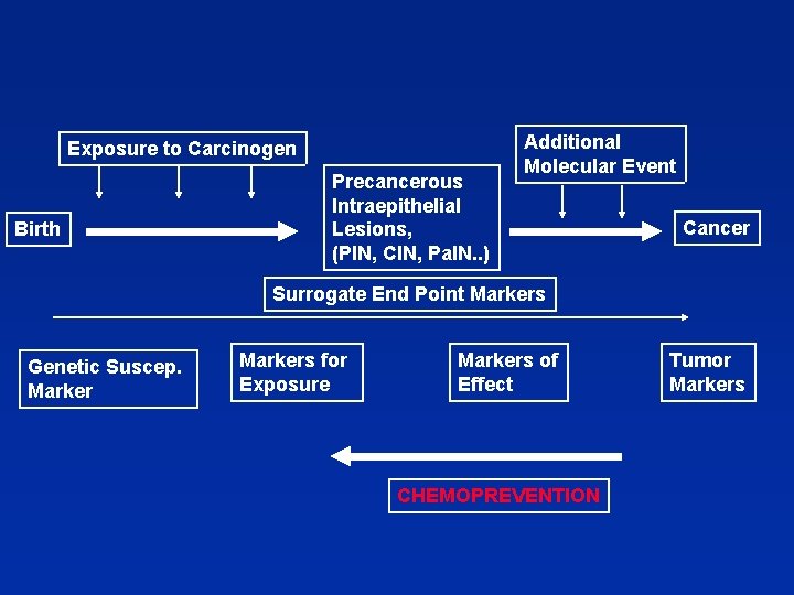 Exposure to Carcinogen Birth Precancerous Intraepithelial Lesions, (PIN, CIN, Pa. IN. . ) Additional