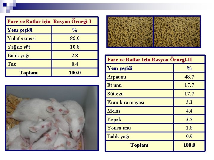 Fare ve Ratlar için Rasyon Örneği-I Yem çeşidi % Yulaf ezmesi 86. 0 Yağsız